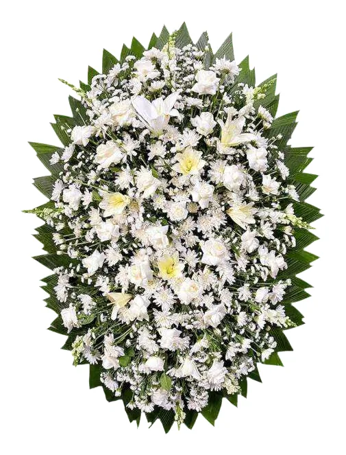 Coroa Brilhante